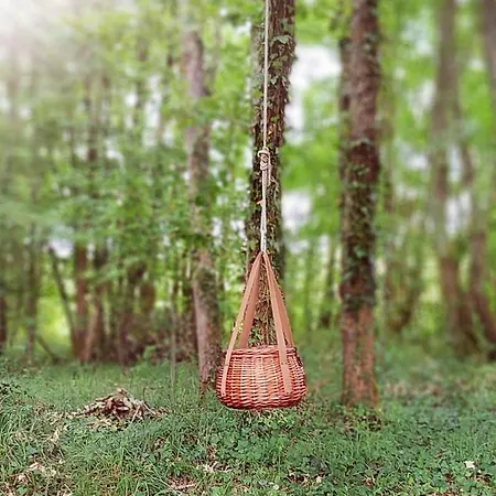 D'emilion De Sens Maison d'hôtes