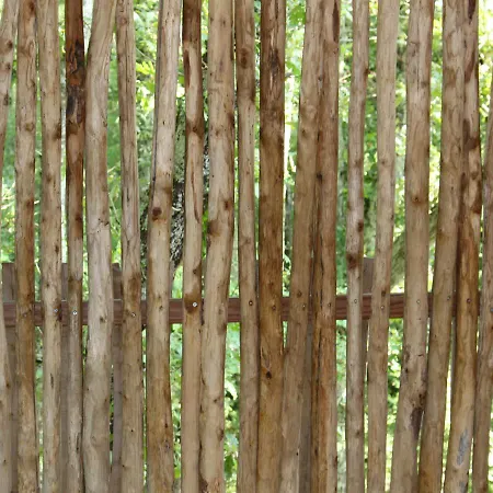 D'emilion De Sens Maison d'hôtes