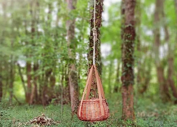 D'emilion De Sens Maison d'hôtes